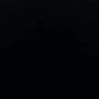 entity.gif