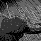 facelessfiend.gif