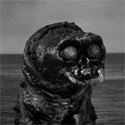 giantMollusk.jpg