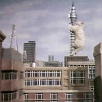 KittenKong_zps6uf35uj8.gif