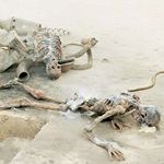 UncleOwenAuntBeru_zpsut0a9wi0.jpg