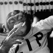 smokingChimpanzee_zpszrugiwdq.jpg