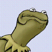 AngryKermit_zpsv3yi2gsp.gif