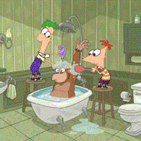 GivingAMonkeyAShower_zpskdubuohs.gif