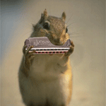 harmonica_zpsq03w2yxy.gif