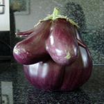 aubergineTeats_zpslqpwcque.jpg
