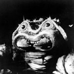 thblackscorpion_zps1e8fa547.jpg