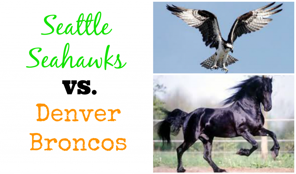  photo SeahawksvBroncos.png