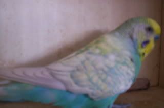 Picture175.jpg