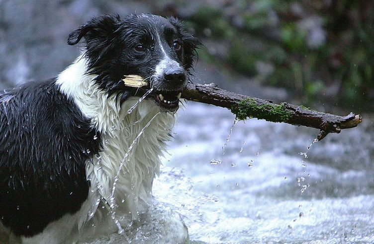 IMAGE: http://i160.photobucket.com/albums/t200/WRIGHTY_2007/LB2R4454.jpg