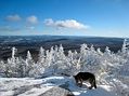 Slideshow for Mt. Cardigan hike.