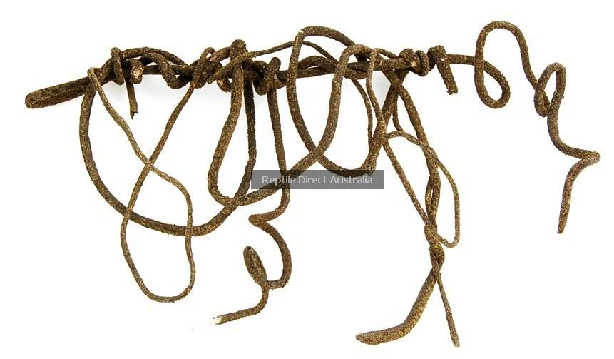 FFF421 Fake Jungle Vine 5m x 10mm Looks real Reptile eBay