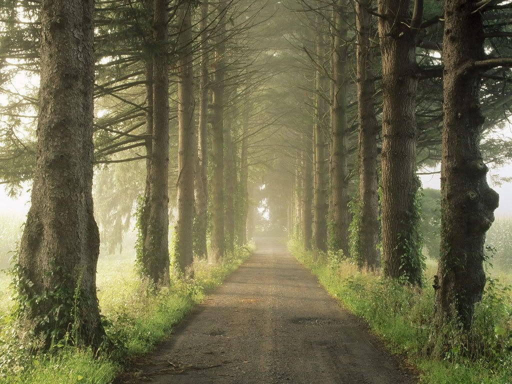 Posted Image