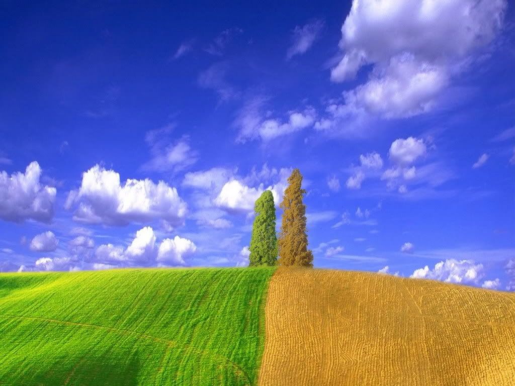 Posted Image