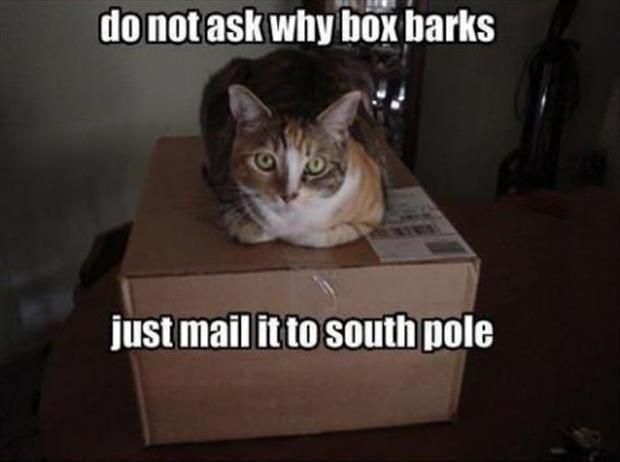 Dontaskjustmail