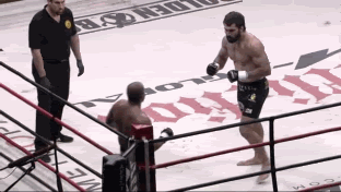 fedor.gif